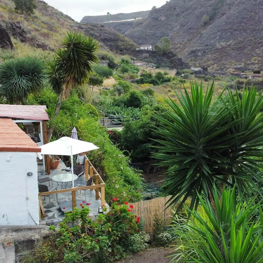 Eco Finca In Paradise Valley Azuaje Firgas 0*,