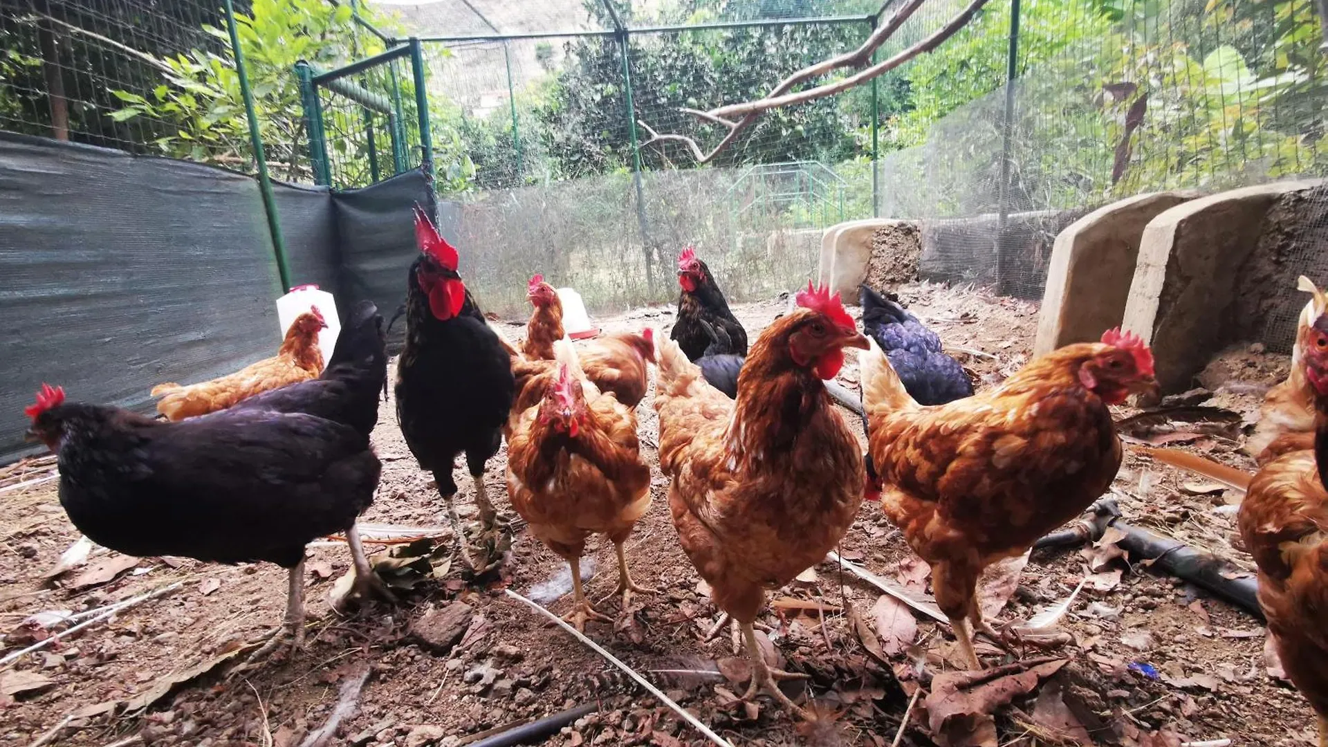Prázdninový dům Eco Finca In Paradise Valley Azuaje Firgas