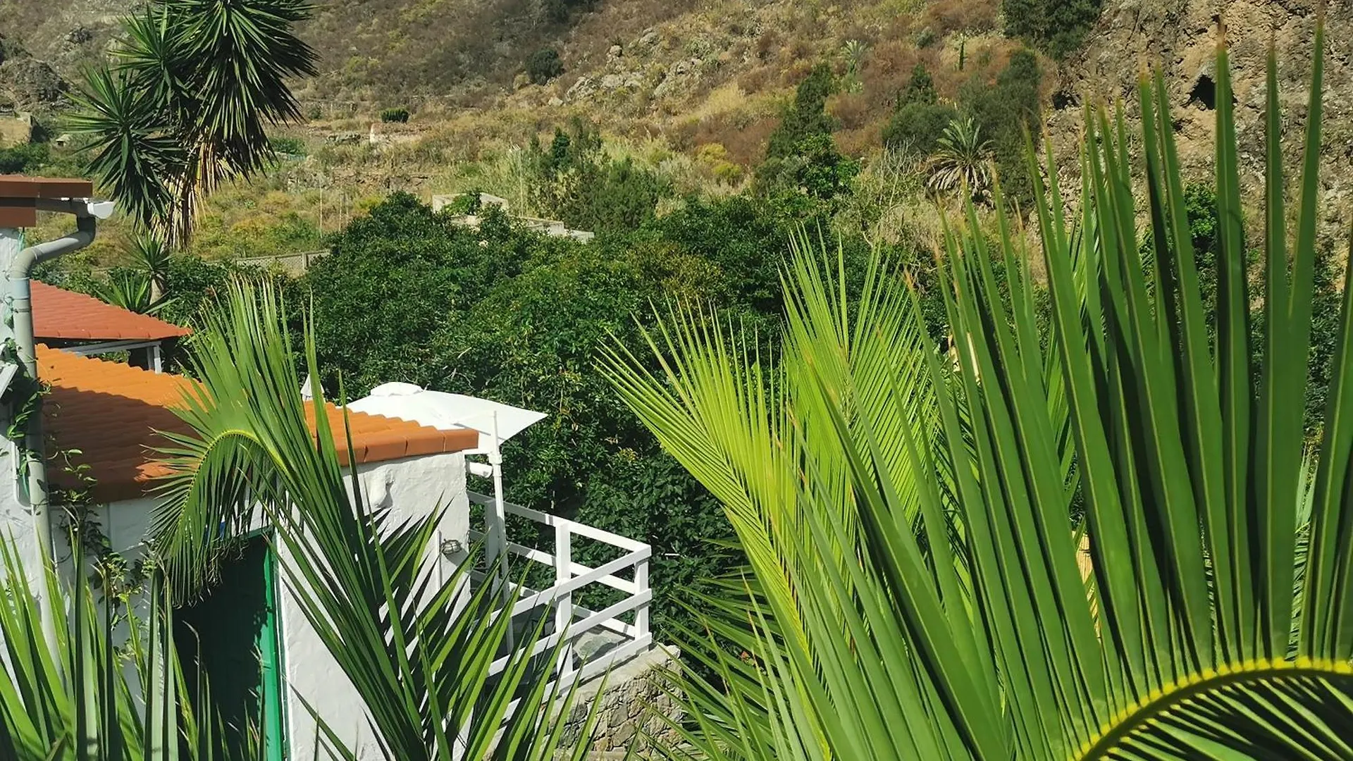 Eco Finca In Paradise Valley Azuaje Firgas 0*,