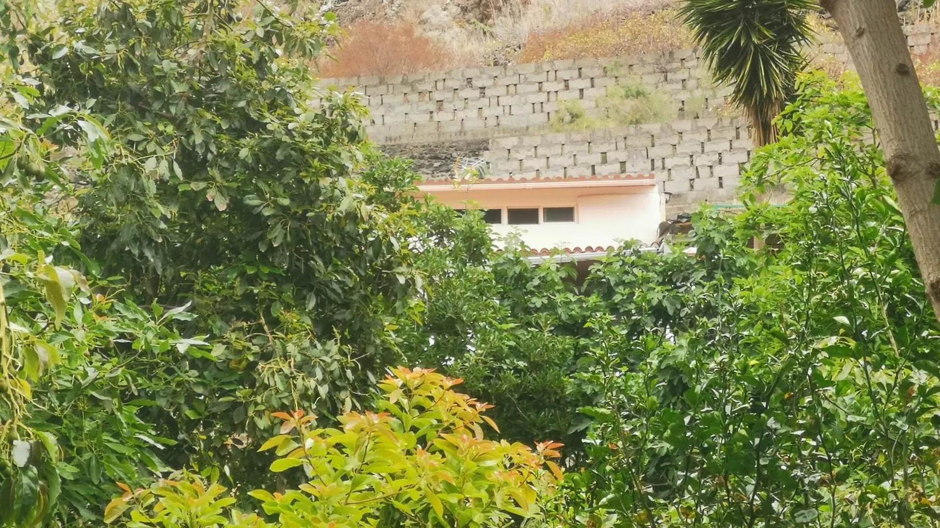 Prázdninový dům Eco Finca In Paradise Valley Azuaje Firgas Španělsko