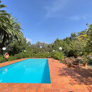 Сasa de vacaciones En Medio Del Bosque, El Lance, Firgas